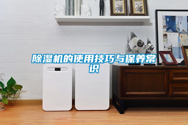 91视频链接下载的使用技巧與保養常識