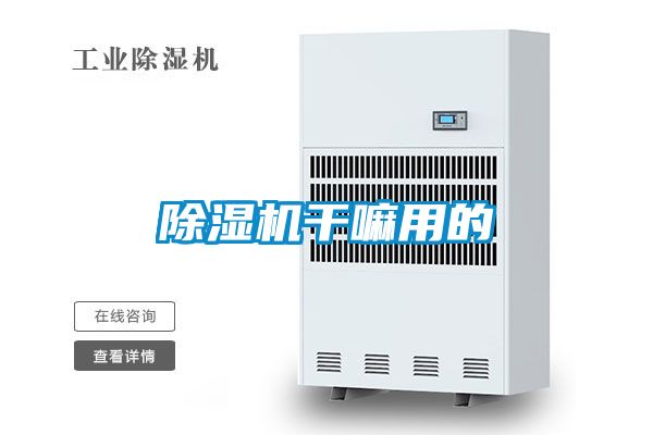 91视频链接下载幹嘛用的