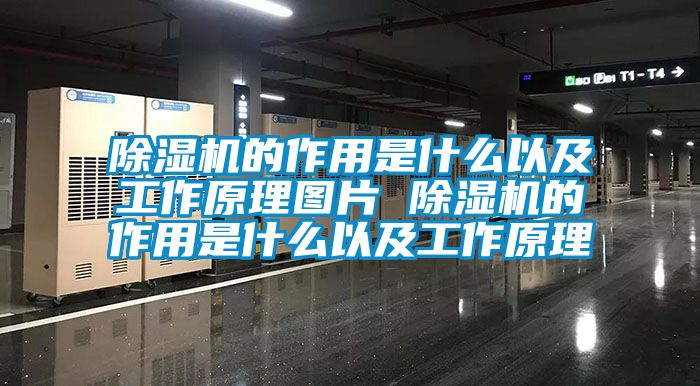 91视频链接下载的作用是什麽以及工作原理圖片 91视频链接下载的作用是什麽以及工作原理