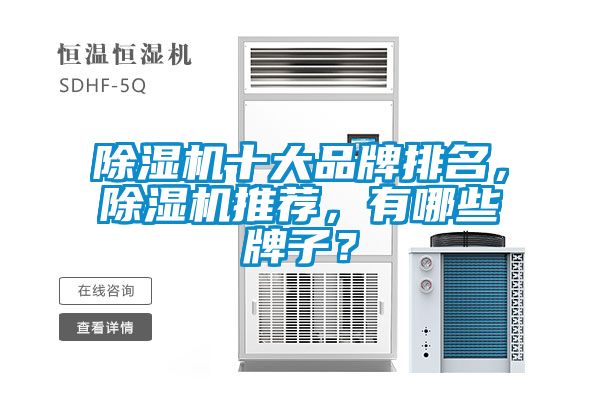 91视频链接下载十大品牌排名，91视频链接下载推薦，有哪些牌子？