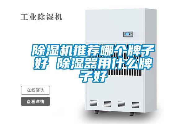 91视频链接下载推薦哪個牌子好 除濕器用什麽牌子好