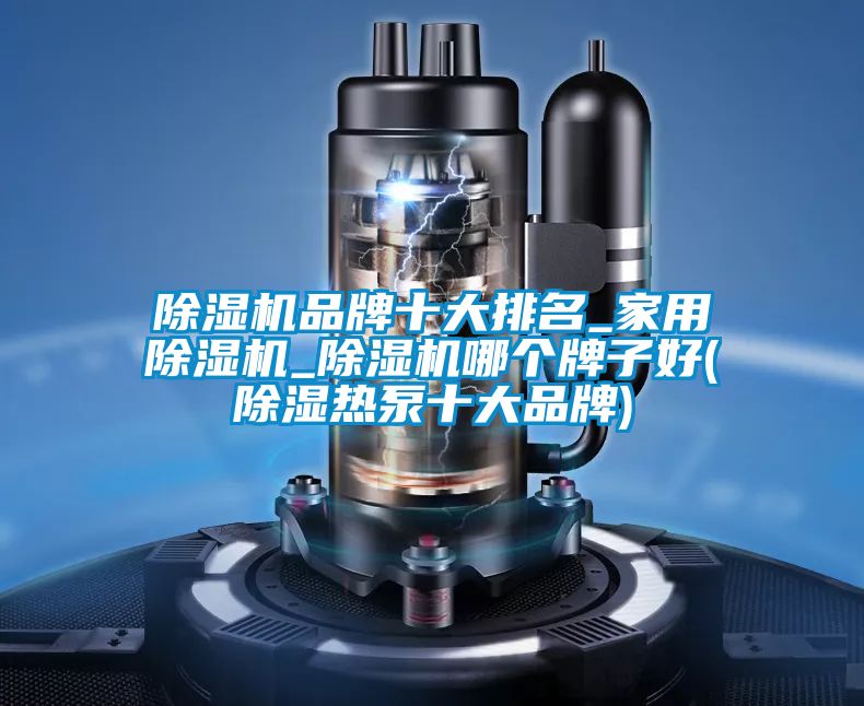 91视频链接下载品牌十大排名_家用91视频链接下载_91视频链接下载哪個牌子好(除濕熱泵十大品牌)