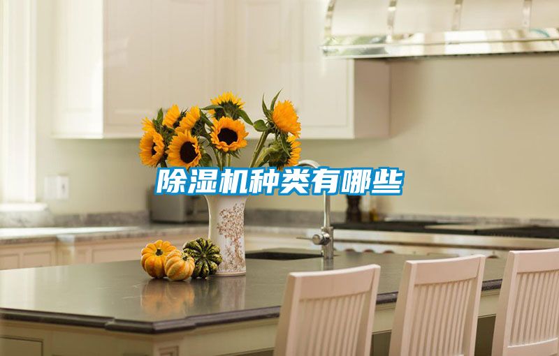 91视频链接下载種類有哪些