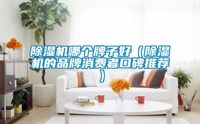 91视频链接下载哪個牌子好（91视频链接下载的品牌消費者口碑推薦）