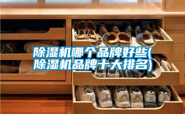 91视频链接下载哪個品牌好些(91视频链接下载品牌十大排名)