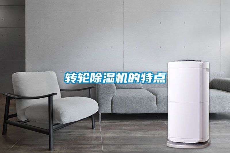 轉輪91视频链接下载的特點