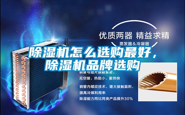 91视频链接下载怎麽選購最好，91视频链接下载品牌選購