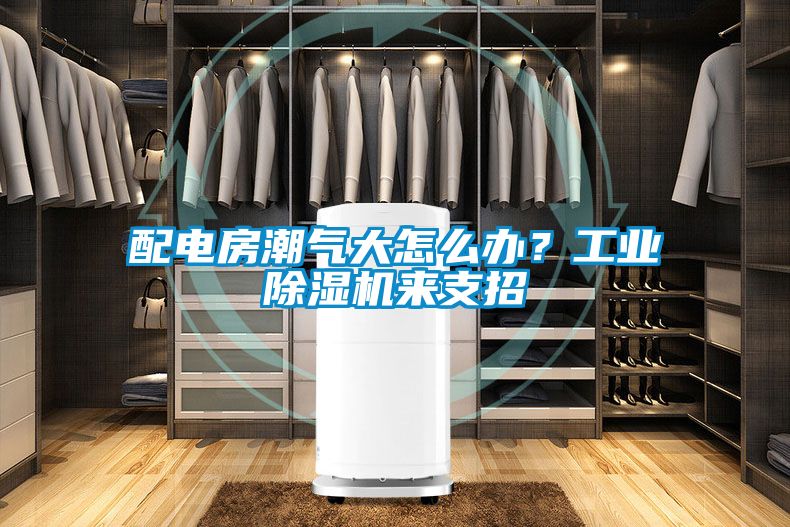 配電房潮氣大怎麽辦？工業91视频链接下载來支招