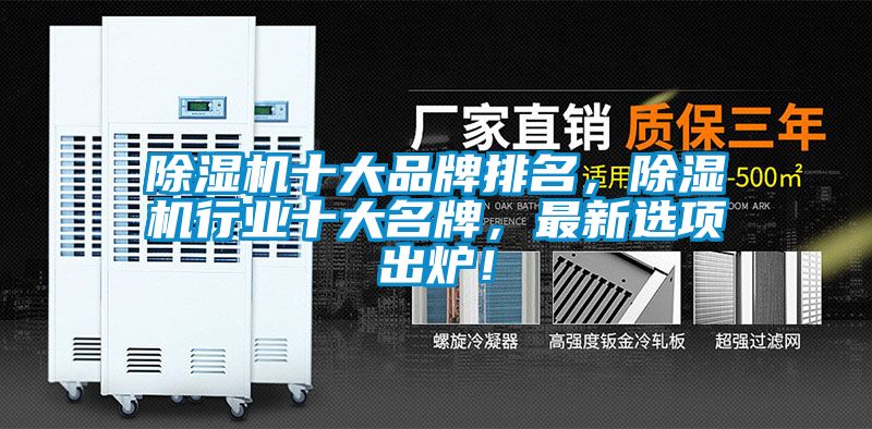 91视频链接下载十大品牌排名，91视频链接下载行業十大名牌，最新選項出爐！