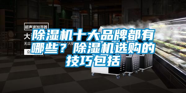 91视频链接下载十大品牌都有哪些？91视频链接下载選購的技巧包括