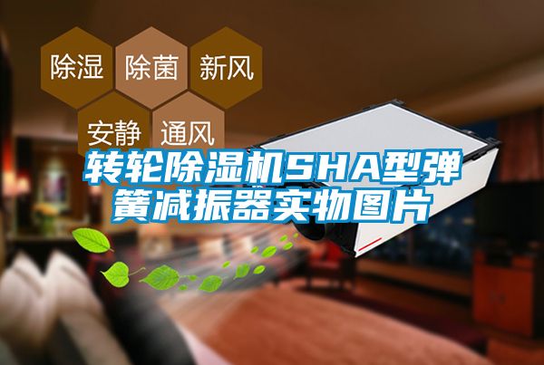 轉輪91视频链接下载SHA型彈簧減振器實物圖片