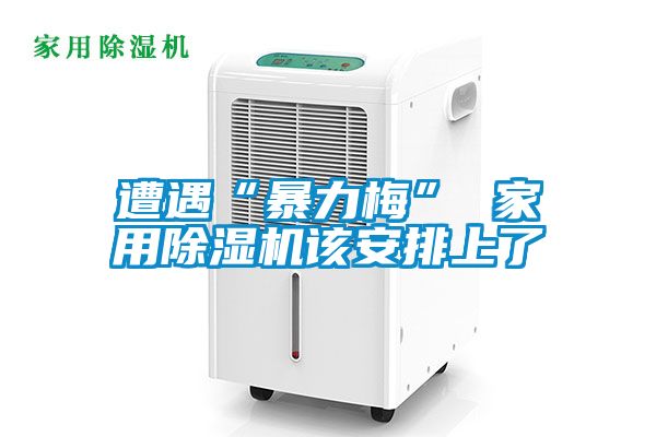 遭遇“暴力梅” 家用91视频链接下载該安排上了