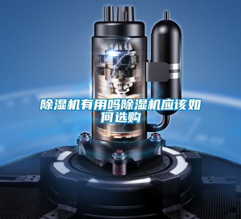 91视频链接下载有用嗎91视频链接下载應該如何選購