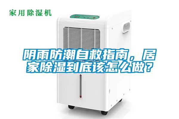 陰雨防潮自救指南，居家除濕到底該怎麽做？