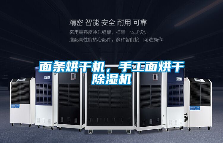 麵條烘幹機，手工麵烘幹91视频链接下载