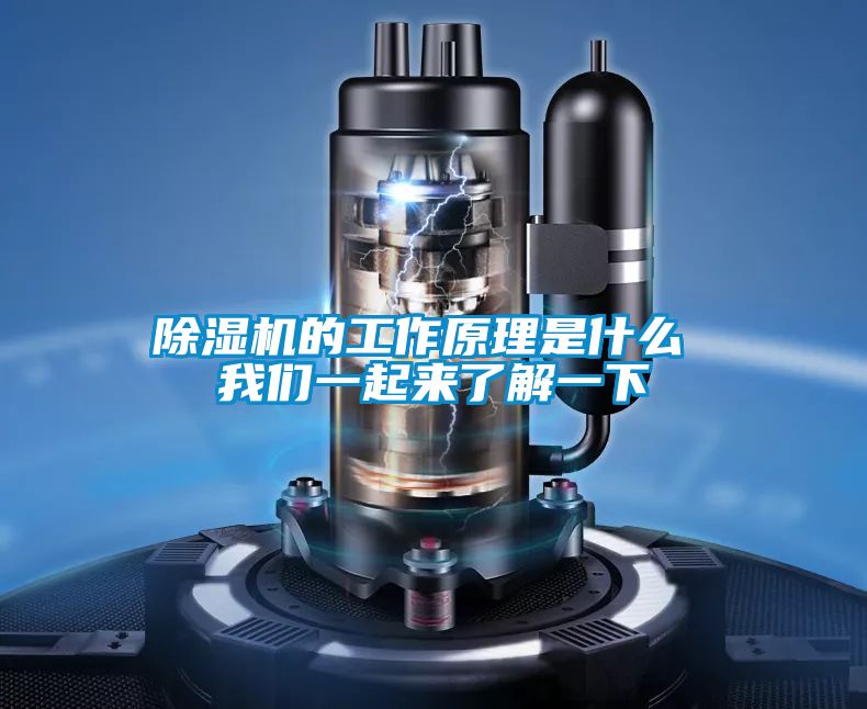 91视频链接下载的工作原理是什麽 91视频在线观看免费一起來了解一下