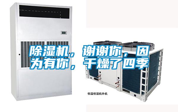 91视频链接下载，謝謝你，因為有你，幹燥了四季