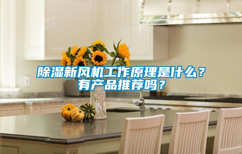 除濕新風機工作原理是什麽？有產品推薦嗎？