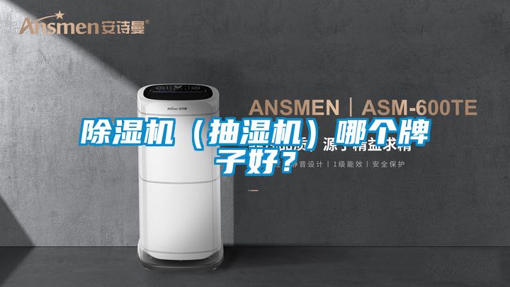 91视频链接下载（抽濕機）哪個牌子好？