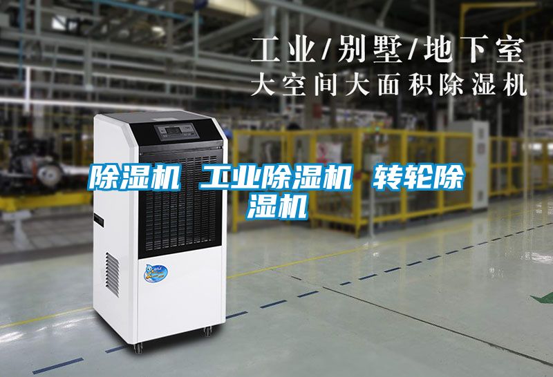 91视频链接下载 工業91视频链接下载 轉輪91视频链接下载