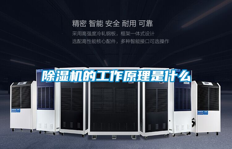 91视频链接下载的工作原理是什麽