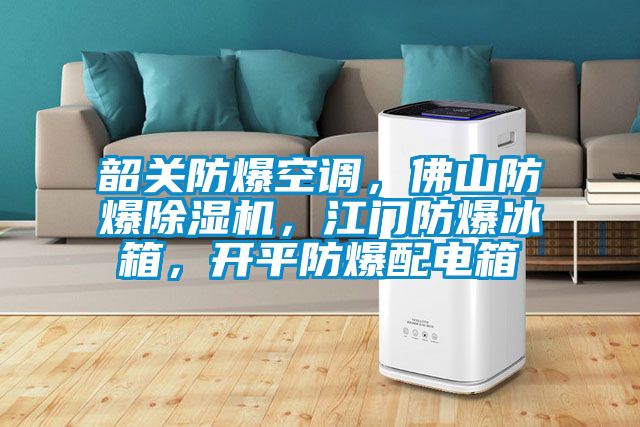 韶關防爆空調，佛山防爆91视频链接下载，江門防爆冰箱，開平防爆配電箱