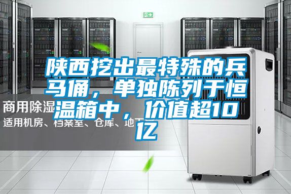 陝西挖出最特殊的兵馬俑，單獨陳列於恒溫箱中，價值超10億