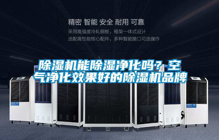 91视频链接下载能除濕淨化嗎？空氣淨化效果好的91视频链接下载品牌