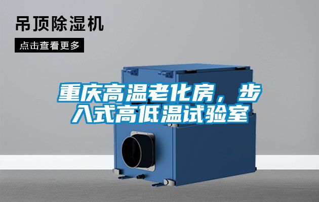重慶高溫老化房，步入式高低溫試驗室