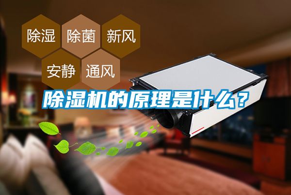 91视频链接下载的原理是什麽？