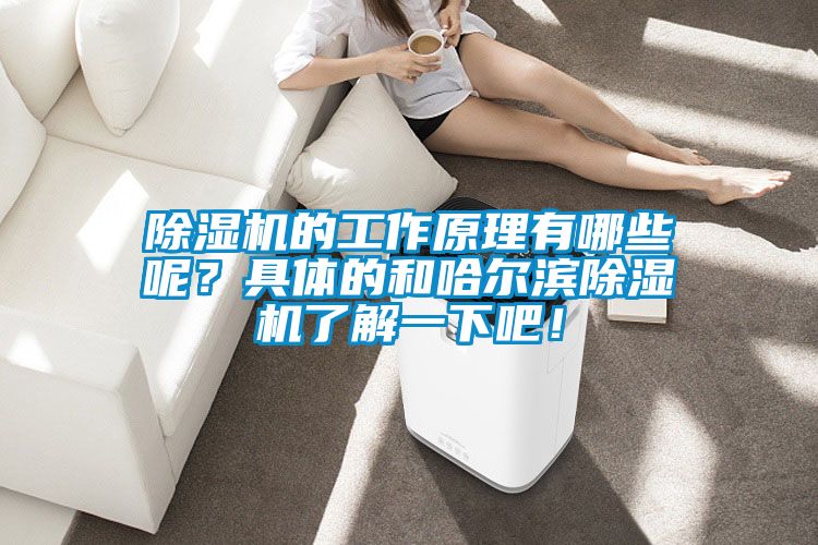 91视频链接下载的工作原理有哪些呢？具體的和哈爾濱91视频链接下载了解一下吧！