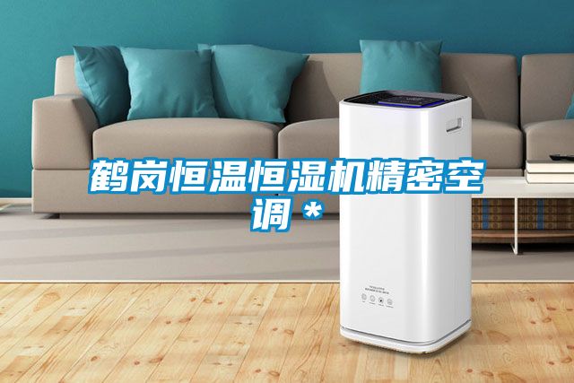 鶴崗恒溫恒濕機精密空調*