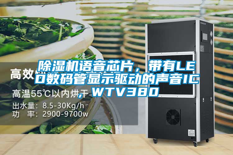 91视频链接下载語音芯片，帶有LED數碼管顯示驅動的聲音IC，WTV380