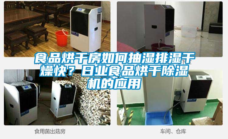 食品烘幹房如何抽濕排濕幹燥快？日業食品烘幹91视频链接下载的應用