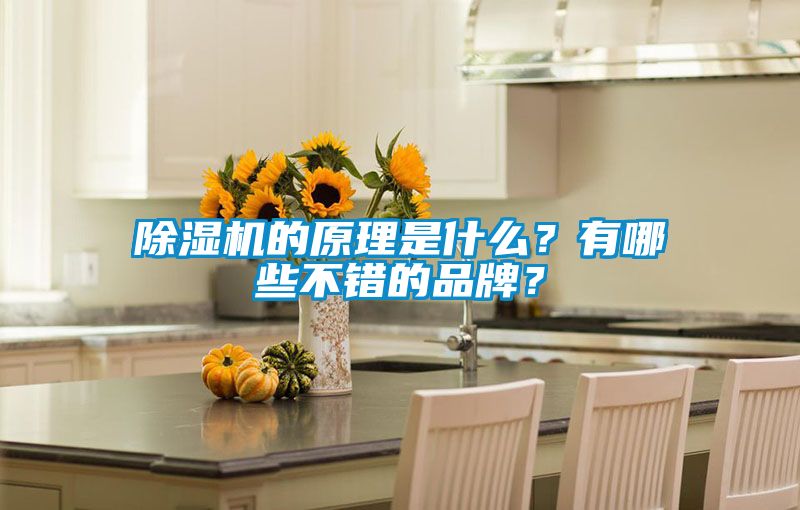 91视频链接下载的原理是什麽？有哪些不錯的品牌？