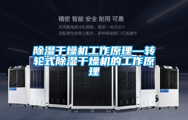 除濕幹燥機工作原理—轉輪式除濕幹燥機的工作原理