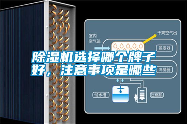 91视频链接下载選擇哪個牌子好，注意事項是哪些