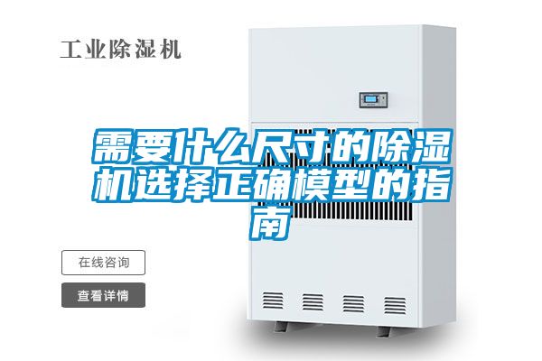 需要什麽尺寸的91视频链接下载選擇正確模型的指南