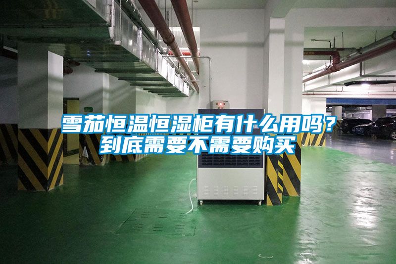 雪茄恒溫恒濕櫃有什麽用嗎？到底需要不需要購買