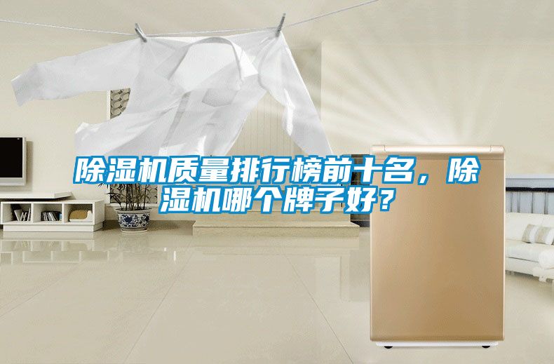 91视频链接下载質量排行榜前十名，91视频链接下载哪個牌子好？