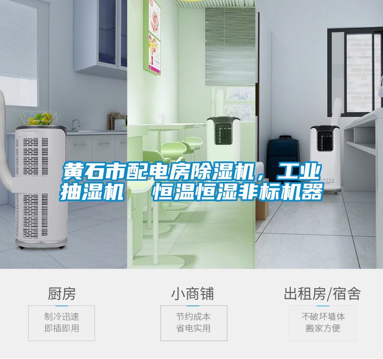 黃石市配電房91视频链接下载,工業抽濕機 恒溫恒濕非標機器