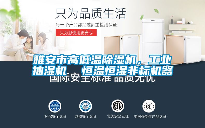 雅安市高低溫91视频链接下载，工業抽濕機  恒溫恒濕非標機器