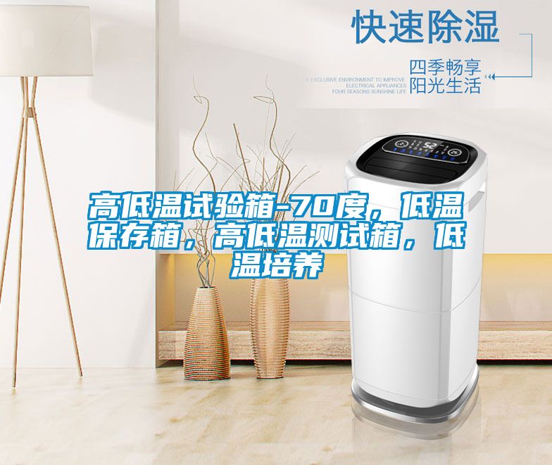 高低溫試驗箱-70度，低溫保存箱，高低溫測試箱，低溫培養