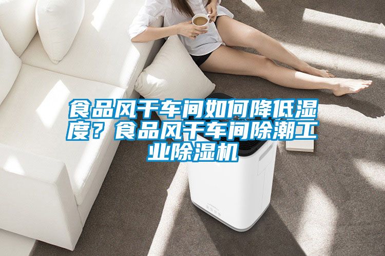 食品風幹車間如何降低濕度？食品風幹車間除潮工業91视频链接下载