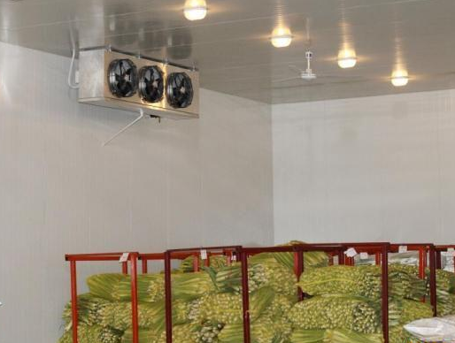 蔬果冷庫加濕處理黄91视频免费看