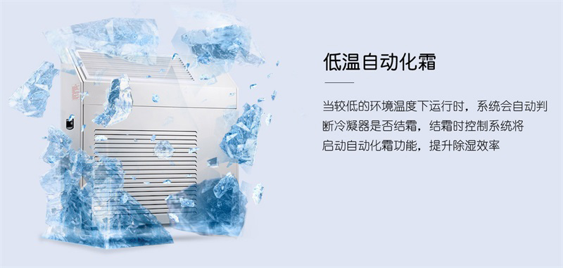 壁掛91视频链接下载6